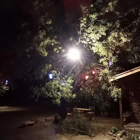 Dogal,kaliteli,huzurlu,avantajli 아파트 Döşeme